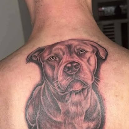 Dog portrait on the upper back