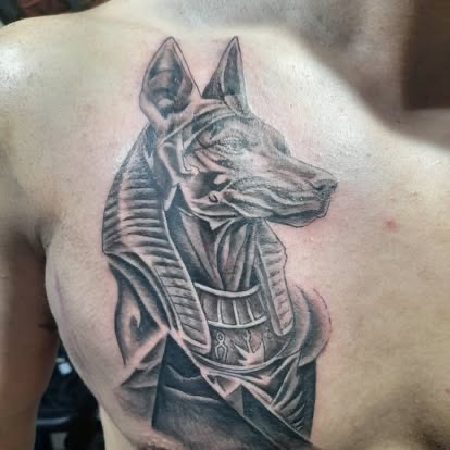 Anubis on a shoulder blade